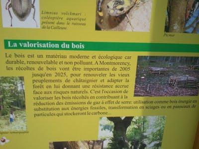 Forêt de Montmorency en danger #2