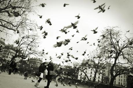 Interview photographe – Jérémy Neveu