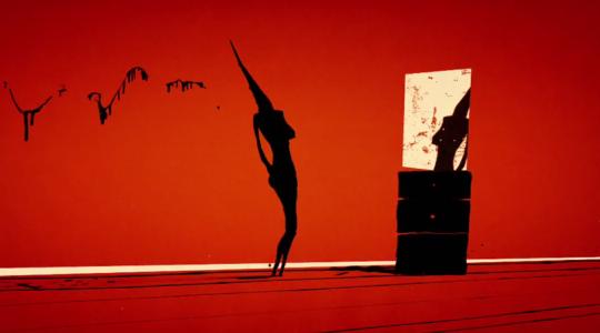 chick Michal Socha : Chick