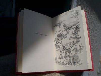 Love Is a Special Way of Feeling by Joan Walsh Anglund #4