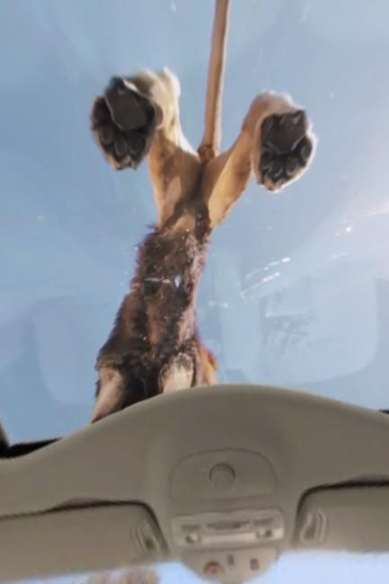 Renault-Espace-03 Application iPhone / iPad Renault Espace, découvrez le monde à travers le monospace