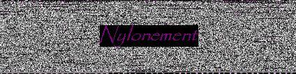 logo small nylonement