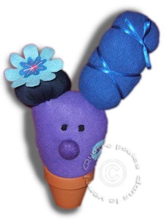 Cactus_violet_fleur_bleue