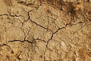 Bientôt la pire sécheresse depuis 1976 ?