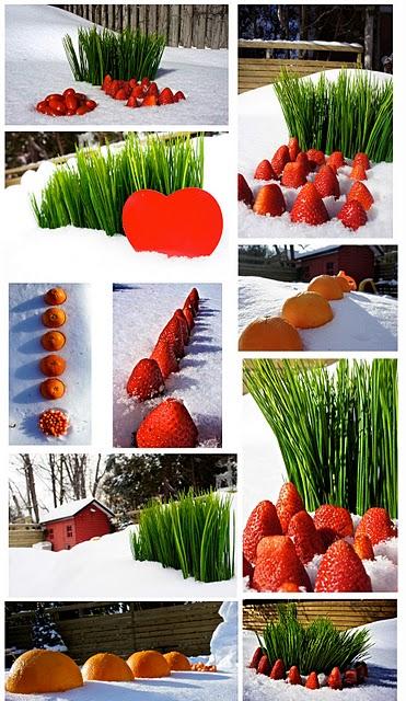 Les fraises sur la neige ...