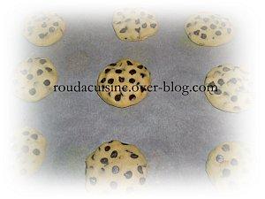 cookiesPhoto 2869