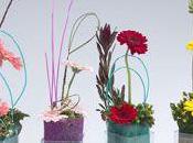 petites compositions créer maison