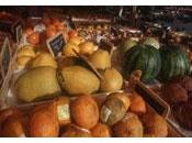 tiers aliments produits dans monde gaspillé