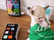 sweats Ibone pour chiens geeks