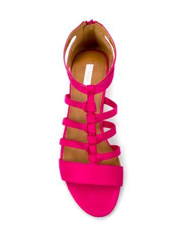 Mon panier shopping de la semaine ! Mon panier shopping de la semaine !