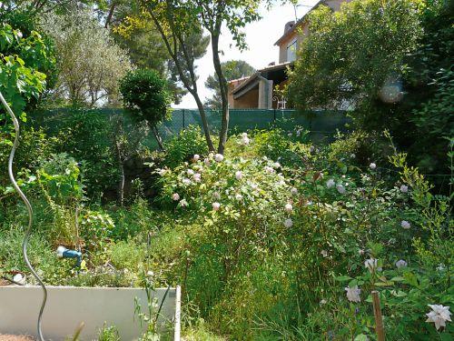 Le désherbage est de rigueur : journal du 13 mai 2011