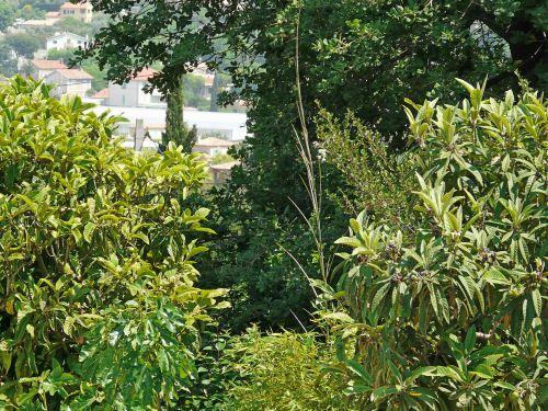 Le désherbage est de rigueur : journal du 13 mai 2011