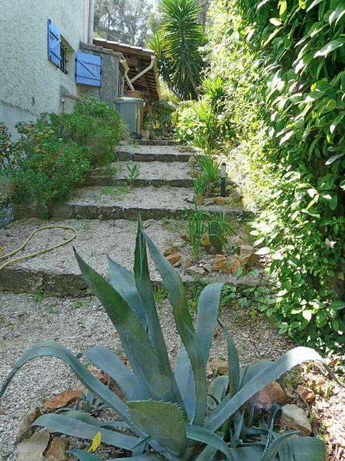 Le désherbage est de rigueur : journal du 13 mai 2011