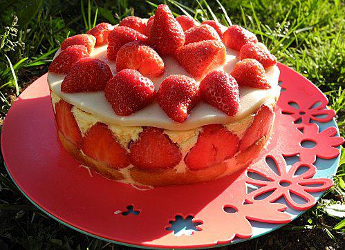 fraisier 2