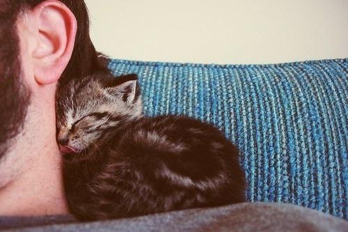 interrogation écrite