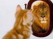 Cinq tests personnalité