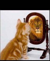 Cinq tests de personnalité