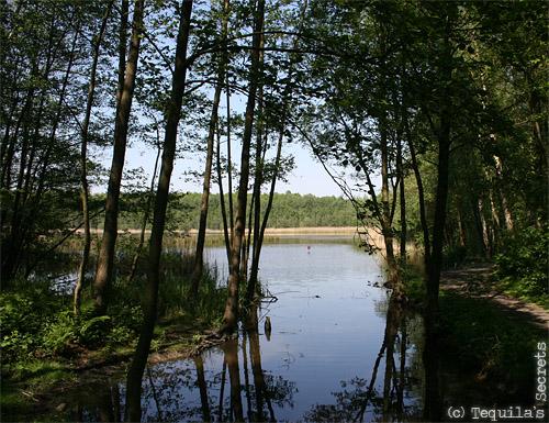 Terril Sabatier à Raismes (59)