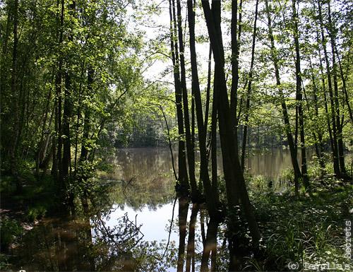 Terril Sabatier à Raismes (59)