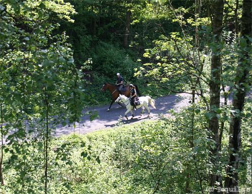Terril Sabatier à Raismes (59)
