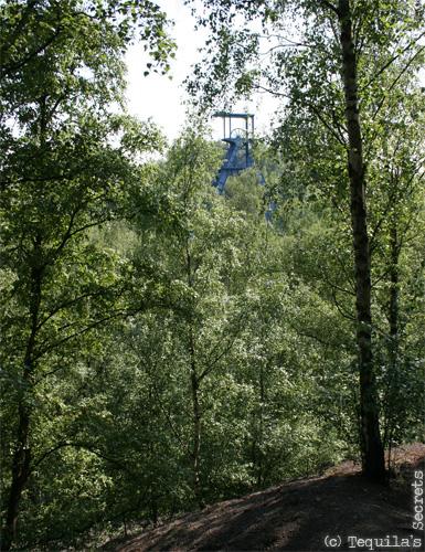 Terril Sabatier à Raismes (59)