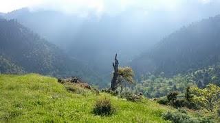 La Saint Nicolas autrement