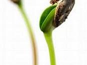 trois âges avec Philippe Leod