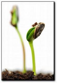 Les trois âges avec Philippe Mac Leod