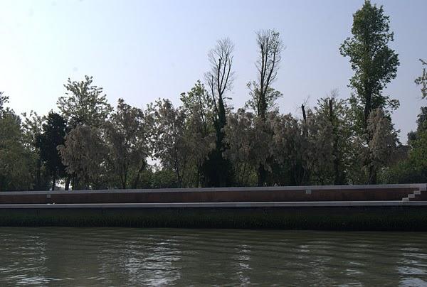 Dimanche dernier à San Erasmo