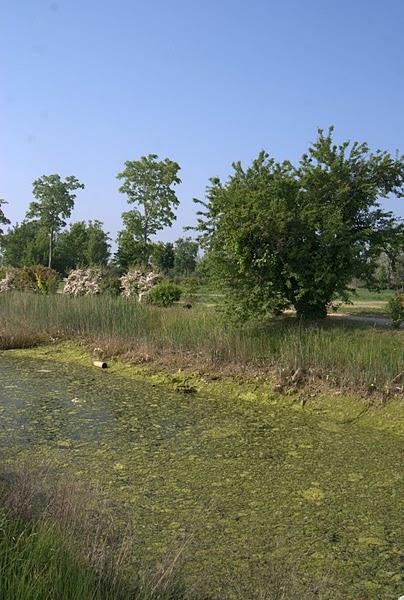 Dimanche dernier à San Erasmo