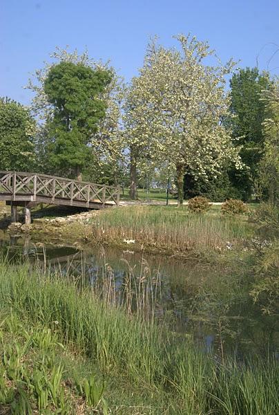 Dimanche dernier à San Erasmo