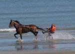 cabourg, chevaux, plage, mer, 