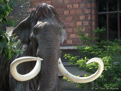 Animal - Projet photo 52 (semaine #19)