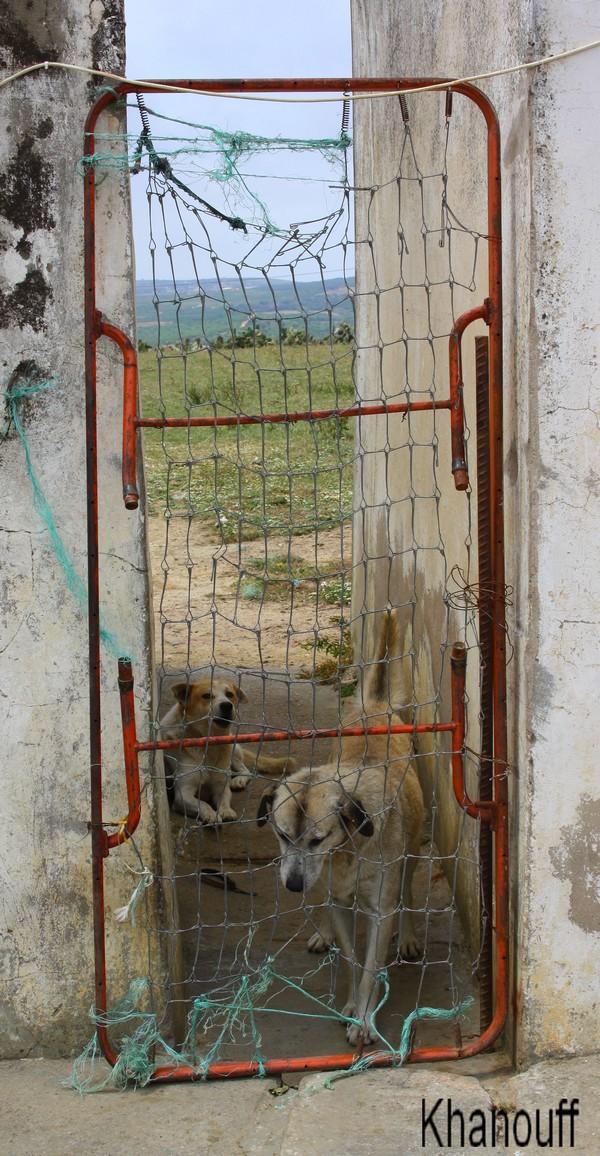 Dimanche à Kef Abed 6K600.jpg