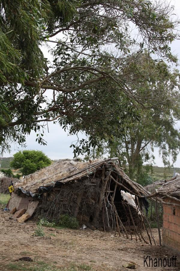 Dimanche à Kef Abed 5K600.jpg