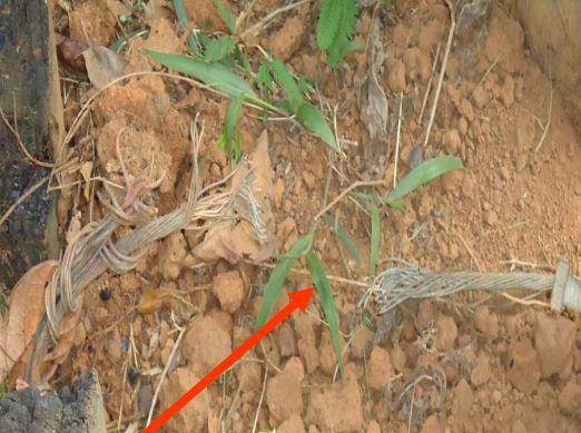 Les fils pendants sont à l'origine de 51% d'accidents électriques 