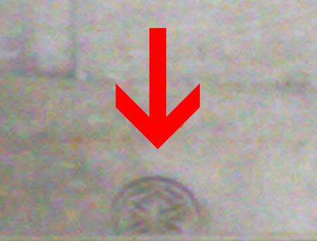 La Fleur de Vie – Les Origines