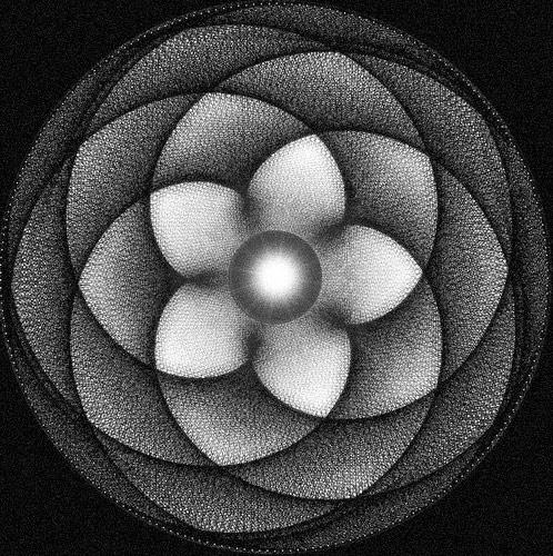 La Fleur de Vie – Les Origines