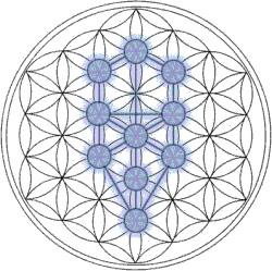 La Fleur de Vie – Les Origines