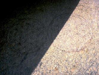 La Fleur de Vie – Les Origines