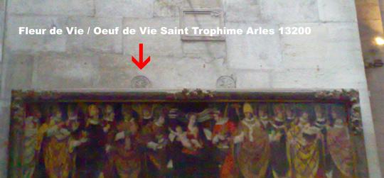 La Fleur de Vie – Les Origines