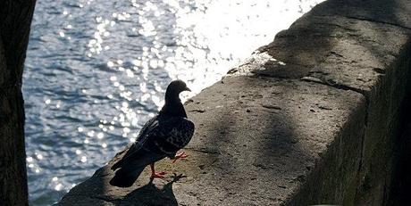 Engagez-vous dans la marinière ! DSC01917