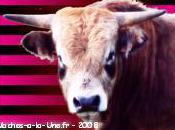 malheur fera peut-être bonheur autres