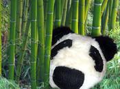 Balle comme panda