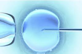 FIV : Moins de naissances multiples mais tout autant de naissances  – Human Fertilisation and Embryology Authority