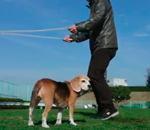 chien saute corde avec maître
