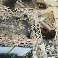 Fukushima: le réacteur n°1 à un point critique