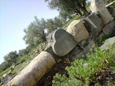 Jordanie (1): ruines, ruines, ruines