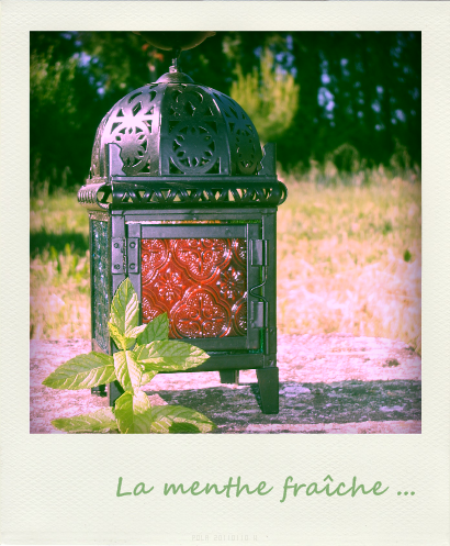 Menthe-Fraiche-copie-1.png