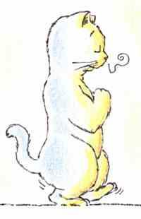 Kin Hin ou marche consciente